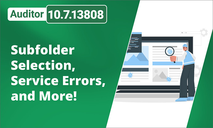 Auditor 10_7_13808