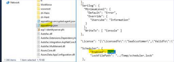 File browser showing appsettings.json selected in the Runtime folder with Enabled set to true