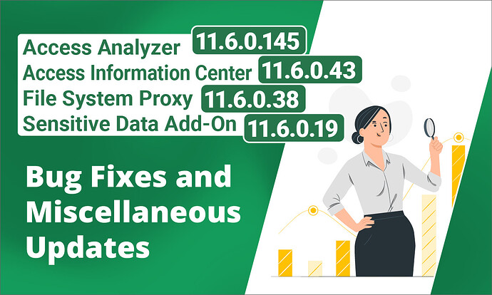 Access Analyzer 11_6_0_145