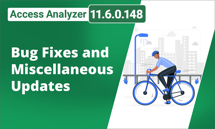 Access Analyzer 11_6_0_148