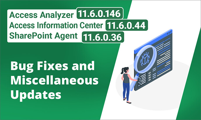 Access Analyzer 11_6_0_146