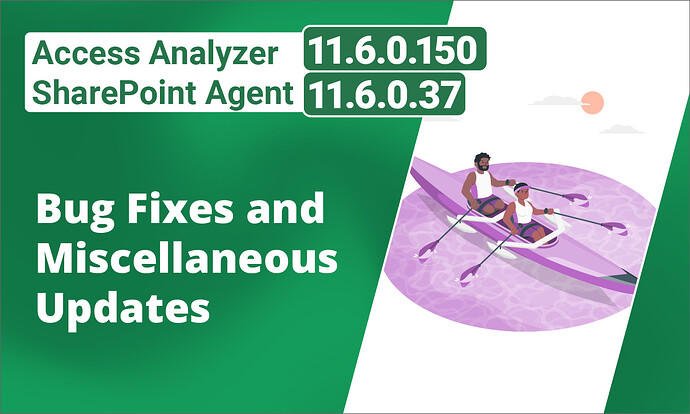 Access Analyzer 11_6_0_150