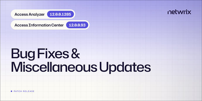 access-analyzer-patch-12-0-0-1285