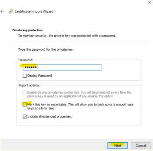 Certificate Import Wizard - Private Key Protection screen with password entry