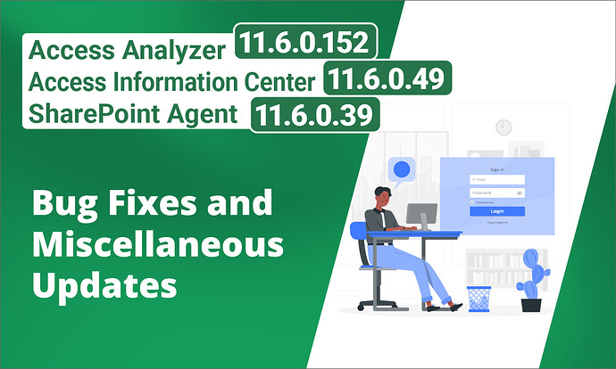 Access Analyzer 11_6_0_152