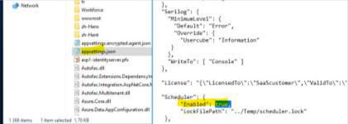 File browser showing appsettings.json selected in the Runtime folder