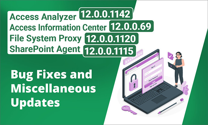 Access Analyzer 12_0_0_1142
