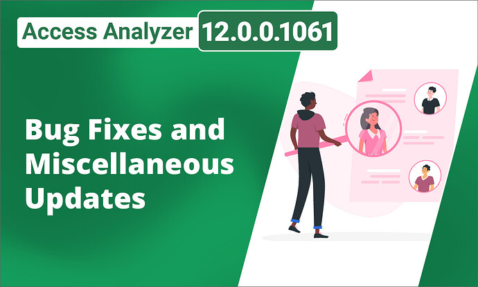 Access Analyzer 12_0_0_1061