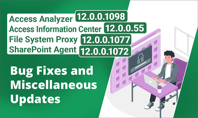 Access Analyzer 12_0_0_10098