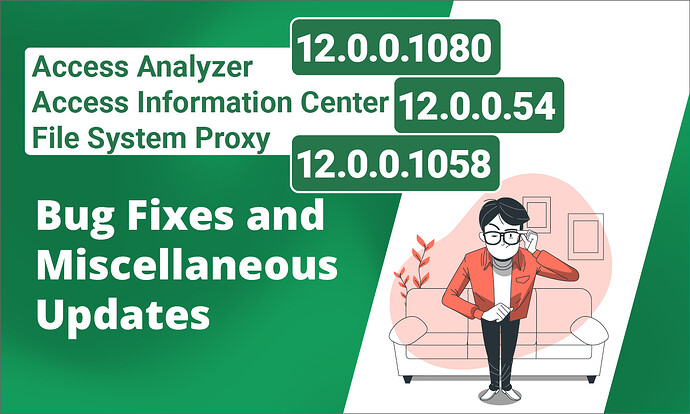 Access Analyzer 12_0_0_1080