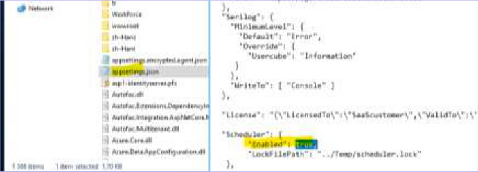 File browser showing appsettings.json selected in the Runtime folder