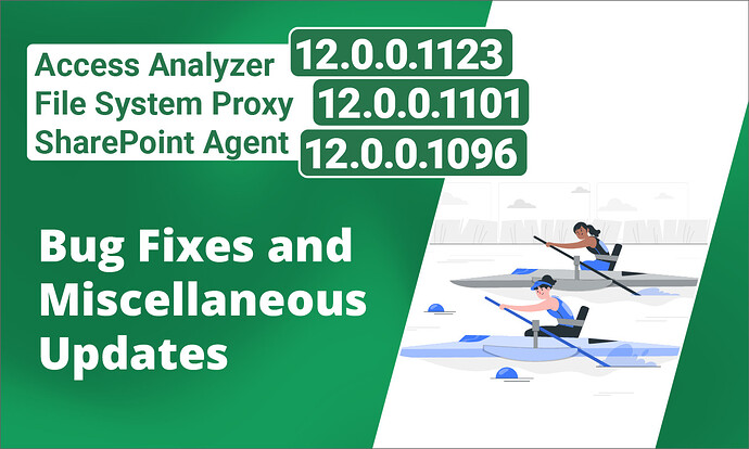 Access Analyzer 12_0_0_1123