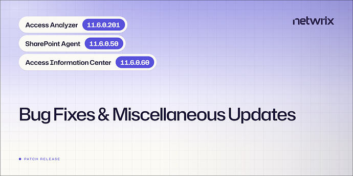 access-analyzer-patch-11-6-0-201