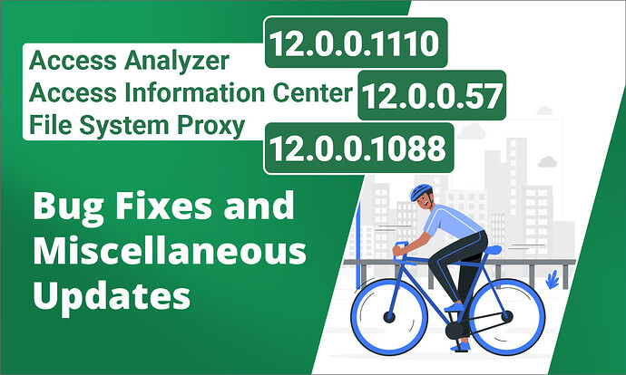 Access Analyzer 12_0_0_1110